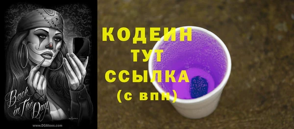 молекула духа Киреевск