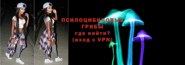молекула духа Киреевск