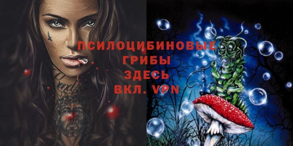 крисы Киренск