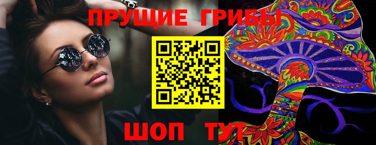 Галлюциногенные грибы Psilocybe  Вход с VPN  Реж  Галлюциногенные грибы MAGIC MUSHROOMS 
