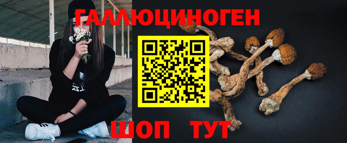 Реж  МЕТ  Cocaine  Меф кристаллы  ГАШИШ  Канабис  Вход с VPN  MDMA  Каннабис 